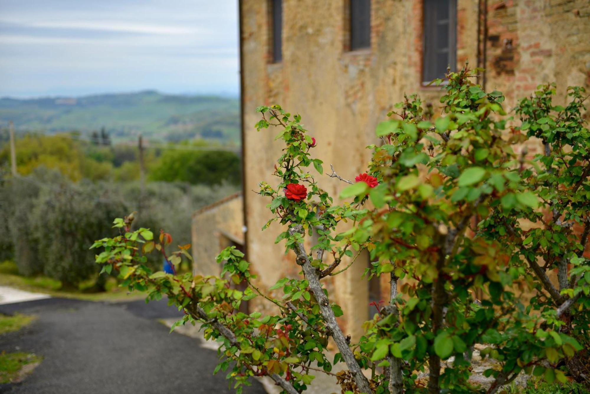 Casa Zeno Apartment Volterra Exterior photo